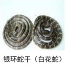 银环蛇干（白花蛇）