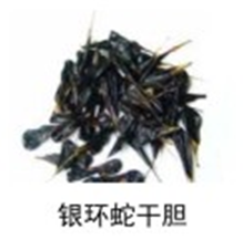 银环蛇干胆