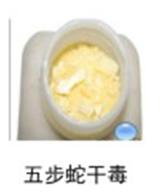 五步蛇干毒