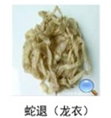 蛇退（龙衣）