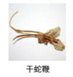 干蛇鞭